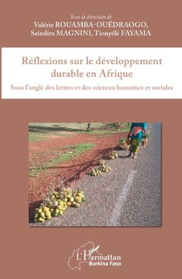 Réflexions sur le développement durable en Afrique