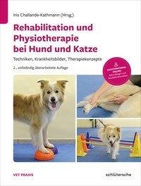 Rehabilitation und Physiotherapie bei Hund und Katze