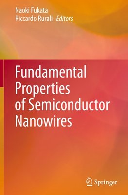 Fundamental Properties of Semiconductor Nanowires