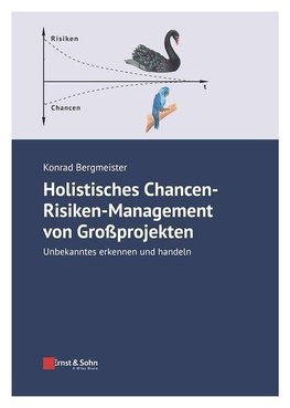 Holistisches Chancen-Risiken-Management von Großprojekten