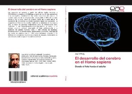 El desarrollo del cerebro en el Homo sapiens