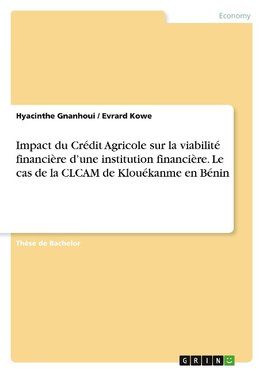 Impact du Crédit Agricole sur la viabilité financière d'une institution financière. Le cas de la CLCAM de Klouékanme en Bénin