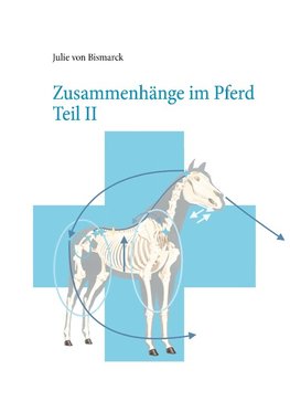 Zusammenhänge im Pferd Teil II