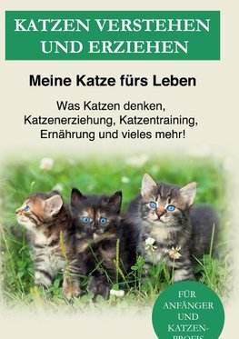 Katzen verstehen und erziehen