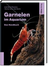 Garnelen im Aquarium