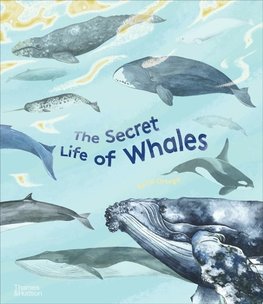 The Secret Life of Whales