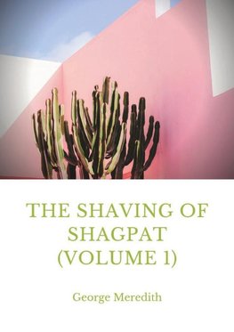 The Shaving of Shagpat (volume 1)