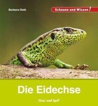 Die Eidechse