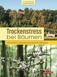 Trockenstress bei Bäumen