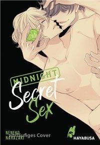 Midnight Secret Sex