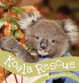 Koala Rescue