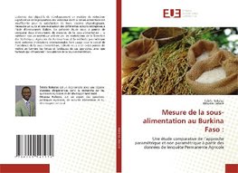 Mesure de la sous-alimentation au Burkina Faso :