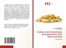 Analyse socio-économique de la promotion de la filière anacarde