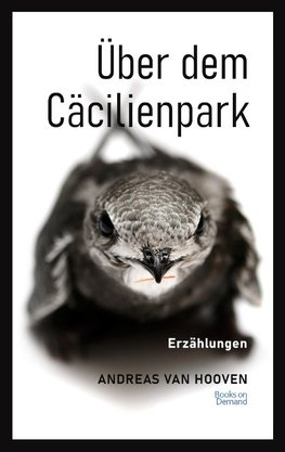 Über dem Cäcilienpark