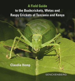 A Field Guide to the Bushcrickets, Wetas and Raspy Crickets of Tanzania and Kenya