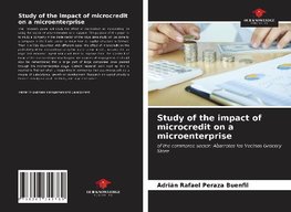 Study of the impact of microcredit on a microenterprise