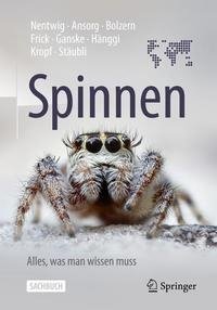 Spinnen - Alles was man wissen muss