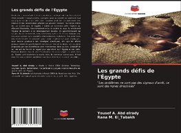 Les grands défis de l'Égypte