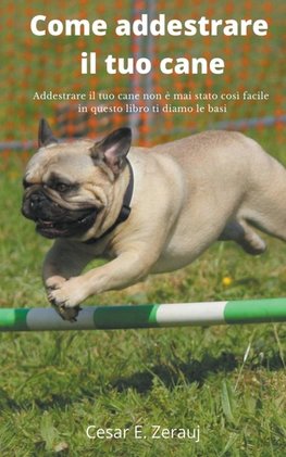 Come addestrare il tuo cane   Addestrare il tuo cane non è mai stato così facile in questo libro ti diamo le basi