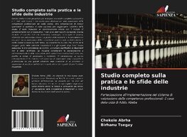 Studio completo sulla pratica e le sfide delle industrie