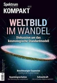 Spektrum Kompakt - Weltbild im Wandel