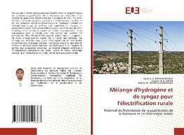 Mélange d'hydrogène et de syngaz pour l'électrification rurale