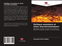 Politique monétaire et chocs macroéconomiques: