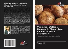 Virus che infettano l'igname in Ghana, Togo e Benin in Africa occidentale