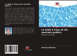 Le droit à l'eau et les marchés publics