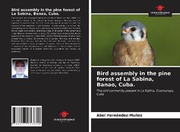 Bird assembly in the pine forest of La Sabina, Banao, Cuba.