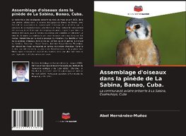 Assemblage d'oiseaux dans la pinède de La Sabina, Banao, Cuba.