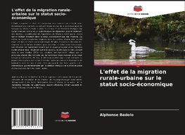 L'effet de la migration rurale-urbaine sur le statut socio-économique