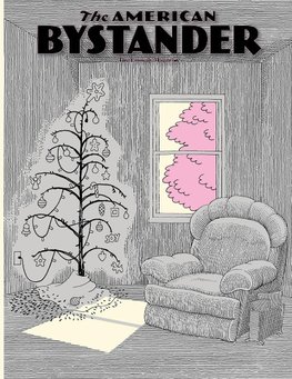 The American Bystander #19