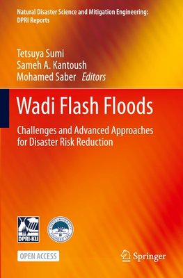 Wadi Flash Floods