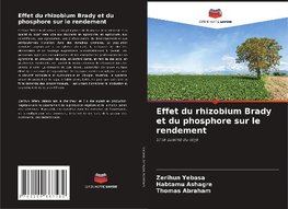 Effet du rhizobium Brady et du phosphore sur le rendement