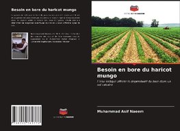 Besoin en bore du haricot mungo