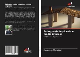 Sviluppo delle piccole e medie imprese