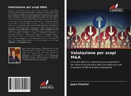 Valutazione per scopi M&A