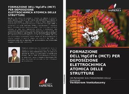 FORMAZIONE DELL'HgCdTe (MCT) PER DEPOSIZIONE ELETTROCHIMICA ATOMICA DELLE STRUTTURE