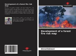 Development of a forest fire risk map