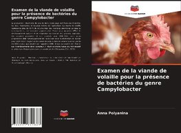 Examen de la viande de volaille pour la présence de bactéries du genre Campylobacter