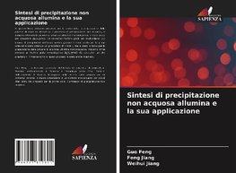 Sintesi di precipitazione non acquosa allumina e la sua applicazione