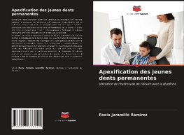 Apexification des jeunes dents permanentes