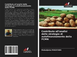 Contributo all'analisi delle strategie di autofinanziamento della FCMN