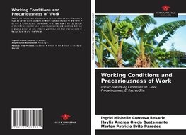 Working Conditions and Precariousness of Work