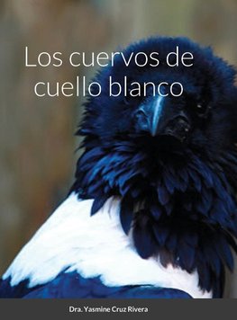 Los cuervos de cuello blanco