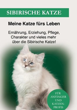 Sibirische Katze