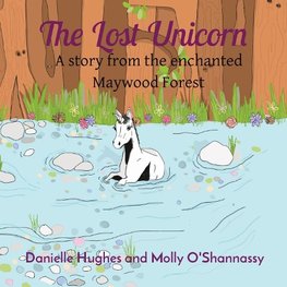 The Lost Unicorn