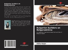 Bulgarian builders on Belgorodchina