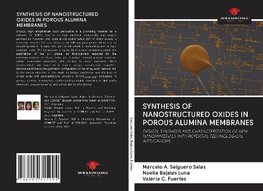 SYNTHESIS OF NANOSTRUCTURED OXIDES IN POROUS ALUMINA MEMBRANES